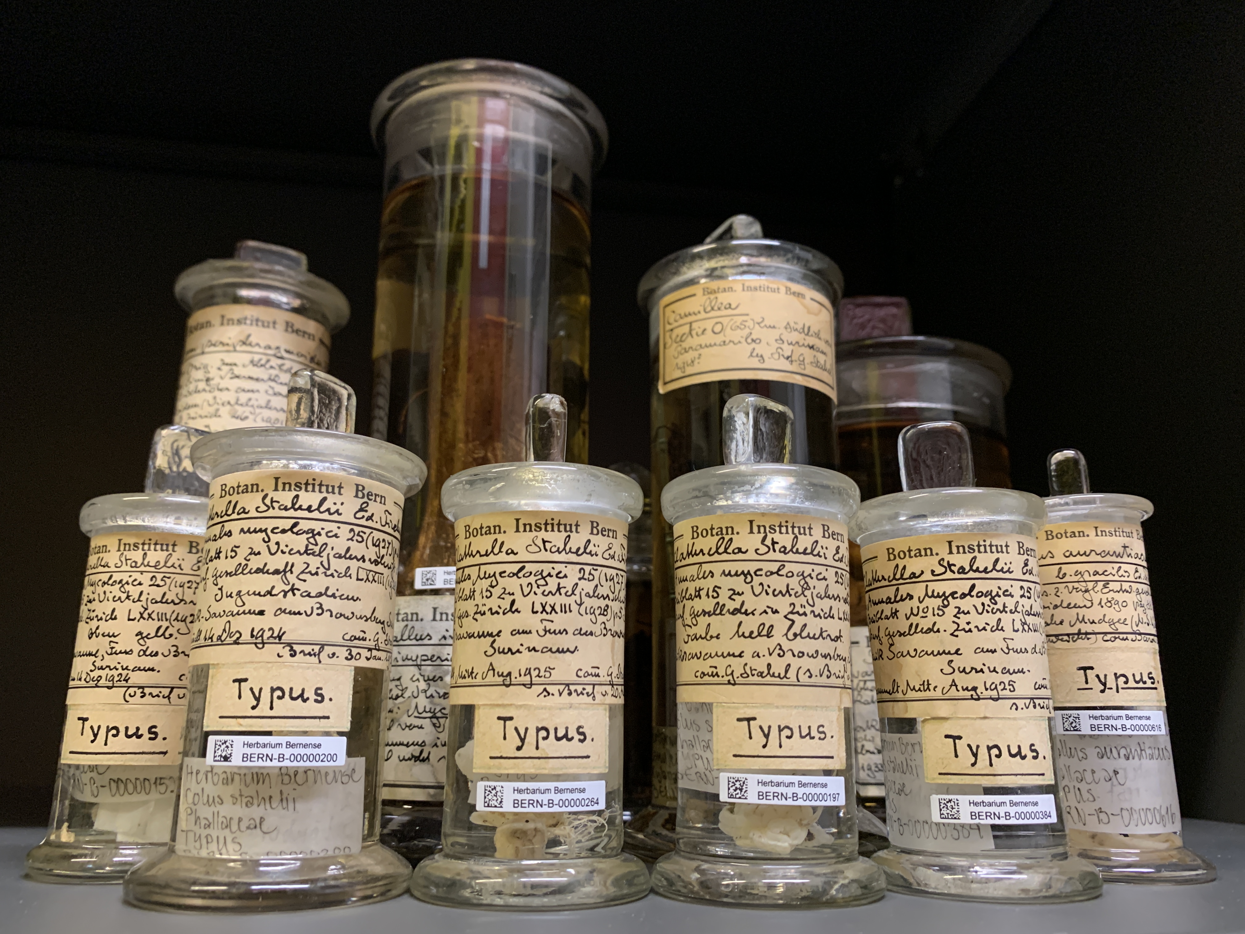 herbarium